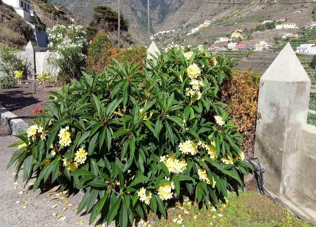 Gomera Garden. Vista Mar Altozano Hermigua Esterno foto